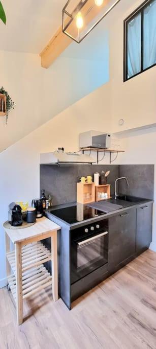 Le Duplex Catherine - Metro - Gare - Wifi Toulouse Buitenkant foto