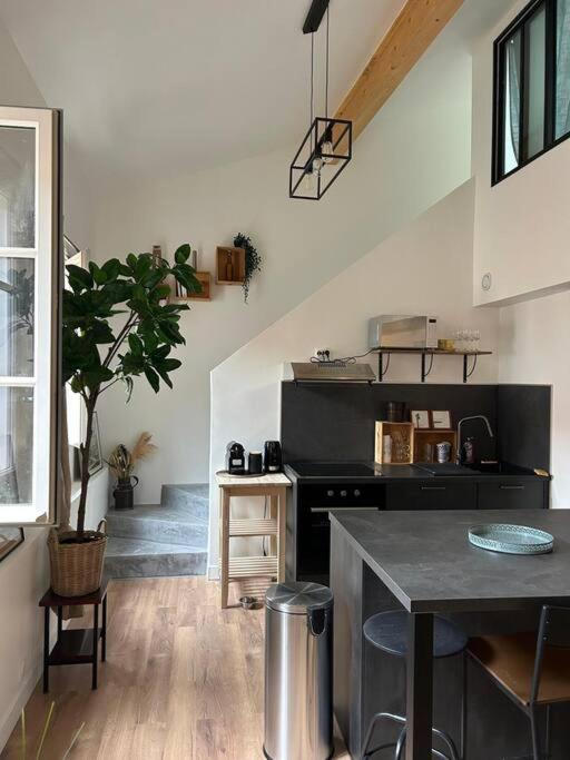 Le Duplex Catherine - Metro - Gare - Wifi Toulouse Buitenkant foto