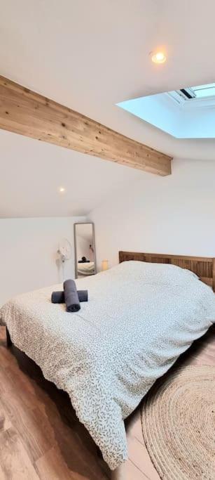 Le Duplex Catherine - Metro - Gare - Wifi Toulouse Buitenkant foto
