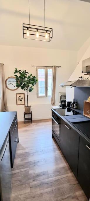 Le Duplex Catherine - Metro - Gare - Wifi Toulouse Buitenkant foto