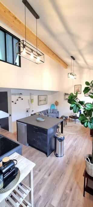 Le Duplex Catherine - Metro - Gare - Wifi Toulouse Buitenkant foto