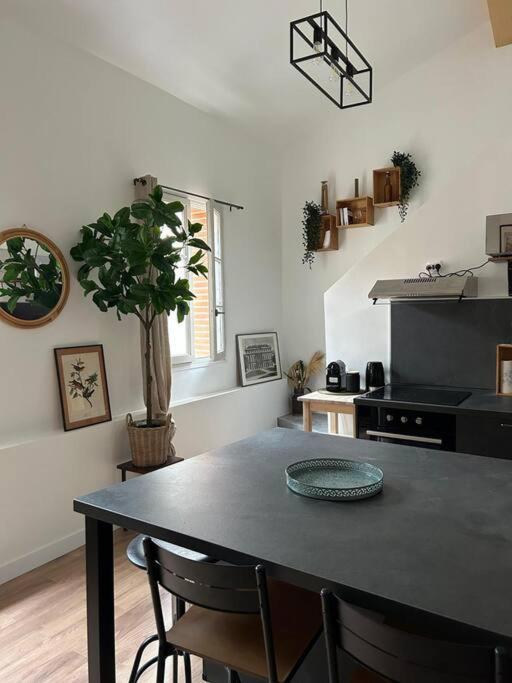 Le Duplex Catherine - Metro - Gare - Wifi Toulouse Buitenkant foto